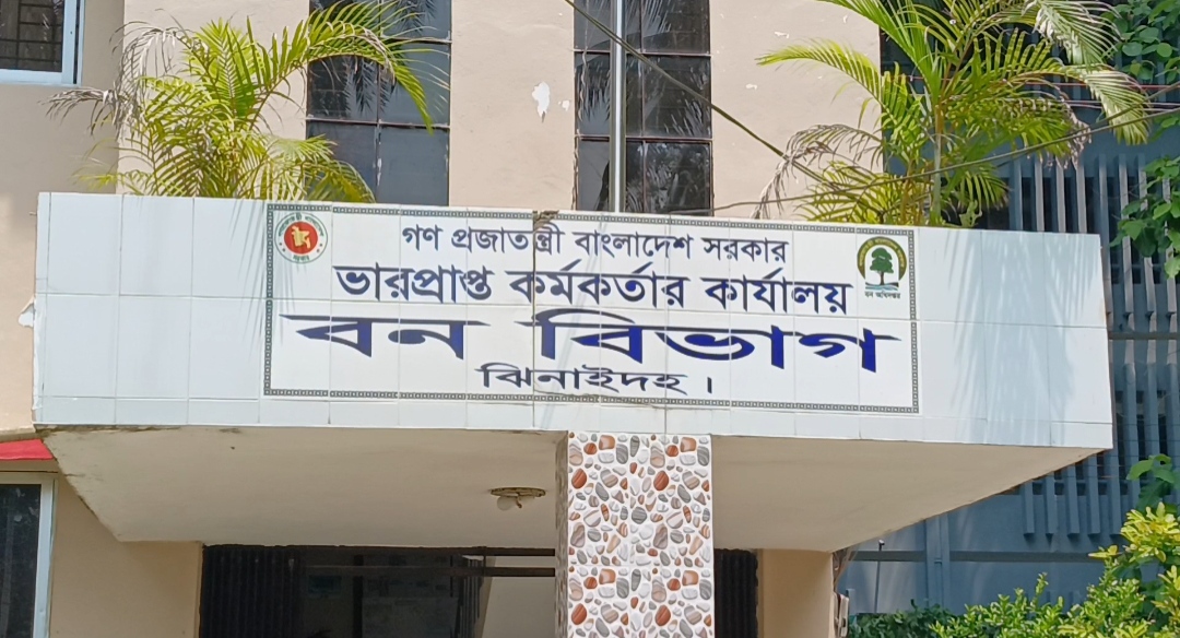 বন বিভাগের টিপি পাশের নামে চলছে রমরমা চাঁদাবাজি