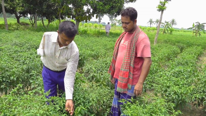 প্রতিবন্ধকতাকে জয় করে কৃষকের নির্ভরতার নাম মফিজ উদ্দিন:এক হাত হারিয়েছেন,হারাননি দায়িত্ব; কৃষকের আস্থার প্রতীক এক কৃষি কর্মকর্তার গল্প