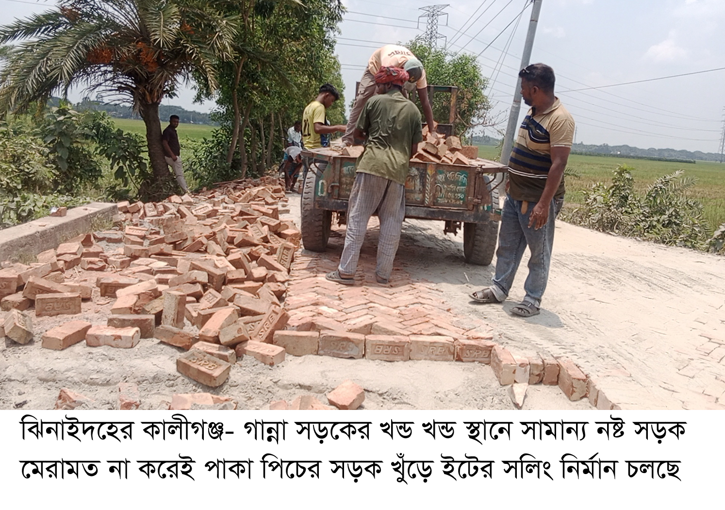 পাকা পিচের সড়ক খুঁড়ে ইটের সলিং নির্মাণ, ৮৮ লাখ টাকা বরাদ্দ 