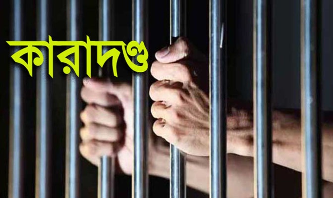 ডামুড্যায় কৃষিজমি বিনষ্টের দায়ে একজনের কারাদণ্ড, ইউপি সদস্যকে ২ লাখ টাকা জরিমানা