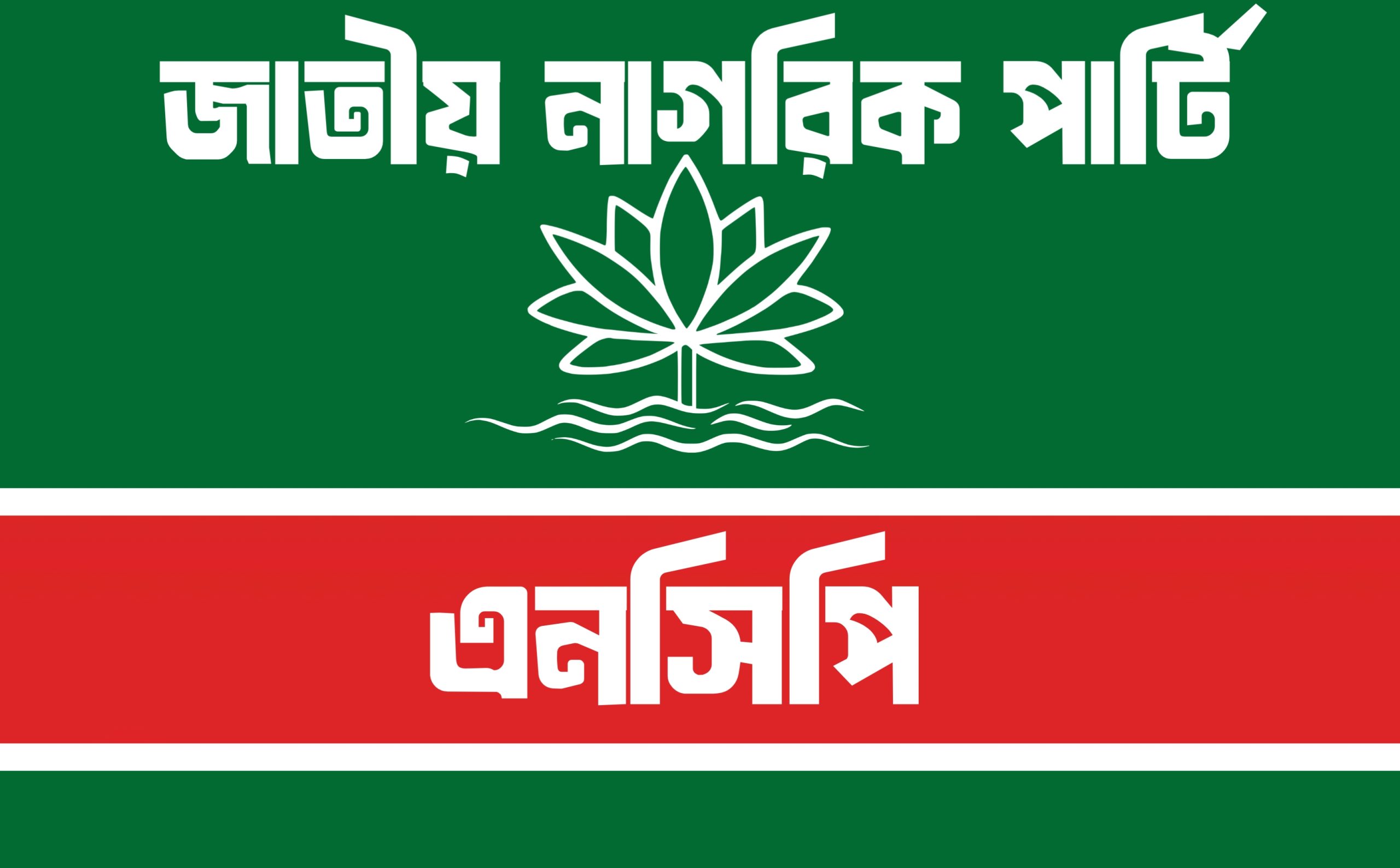 এনসিপির সর্বোচ্চ নীতিনির্ধারণী ফোরামে যুক্ত হলেন আরও ৬ নেতা