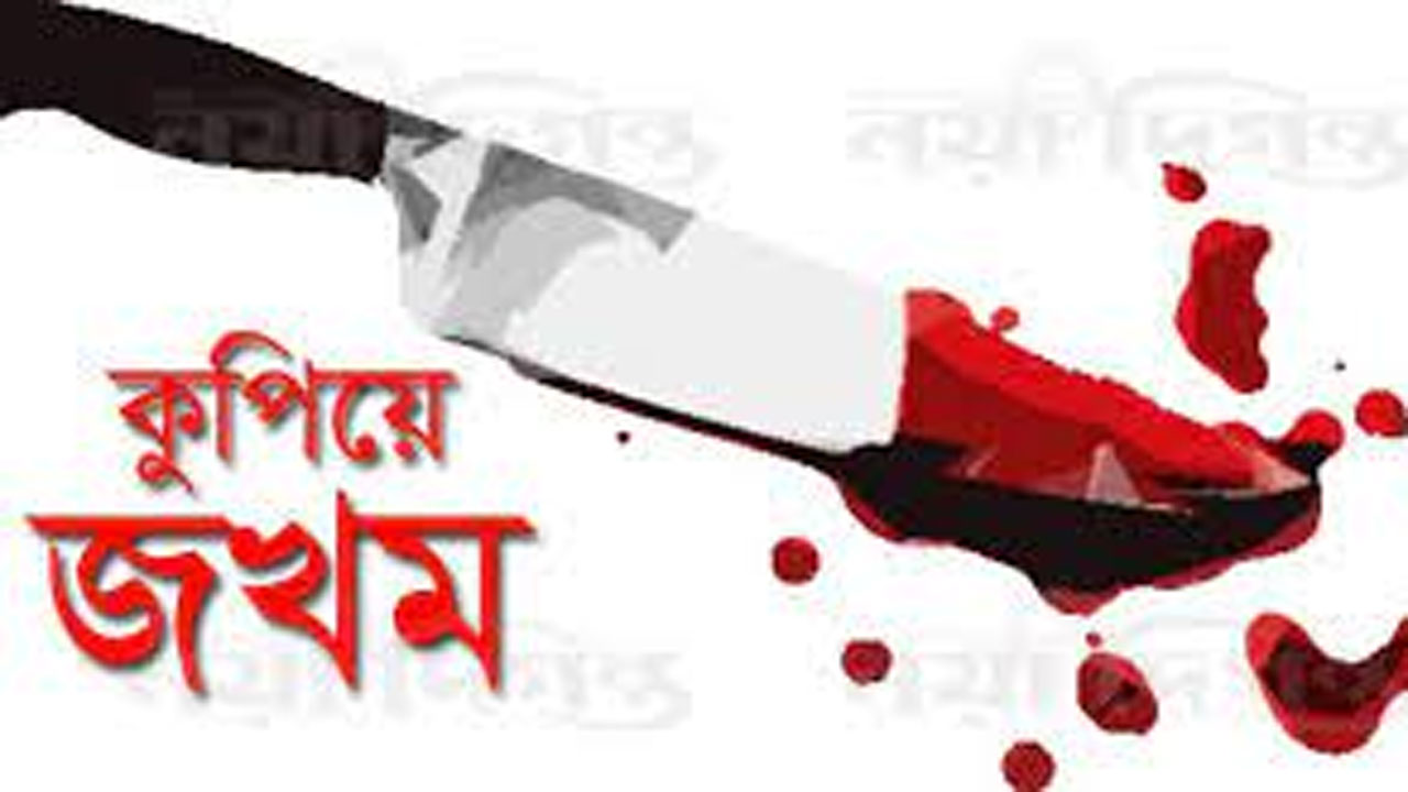 জমি দখলে বাঁধা, ভাই- ভাবিকে কুপিয়ে আহত করলো সৎ ভাই!