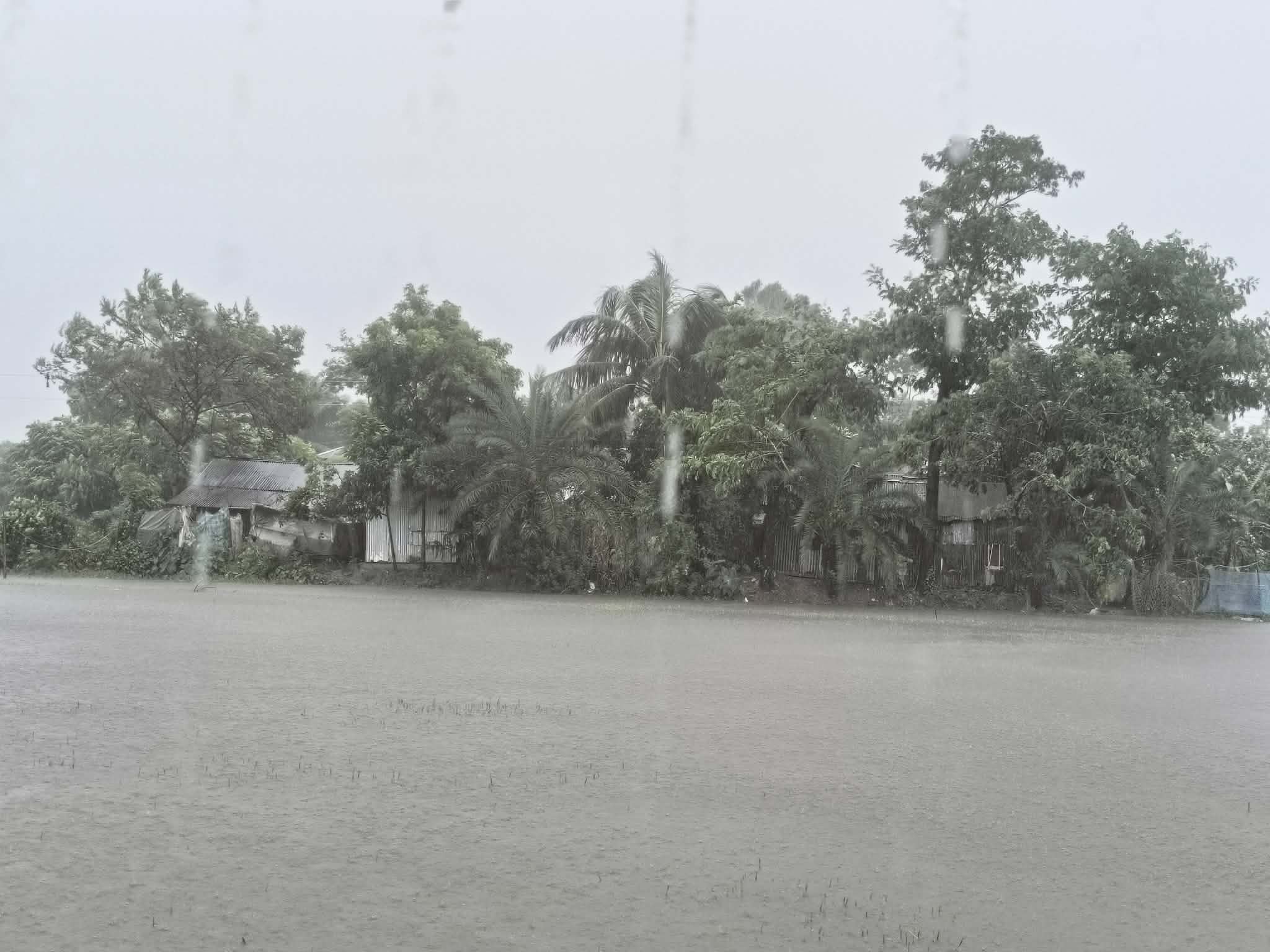 একটানা বৃষ্টিতে অতিষ্ঠ কলাপাড়া উপকূলবাসী ‎